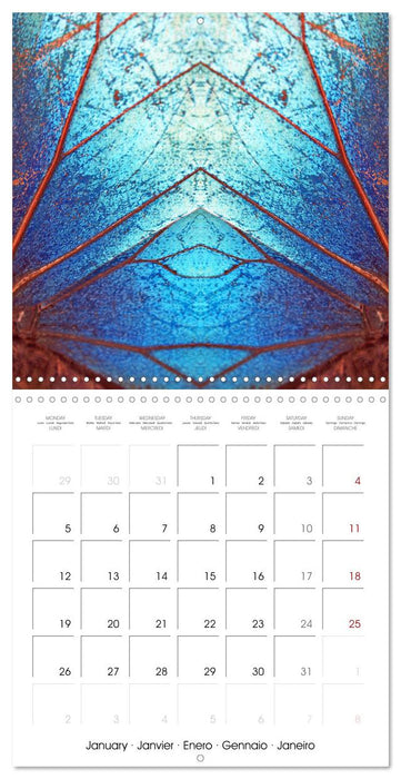 World of colors and structures (CALVENDO Monthly Calendar 2026)