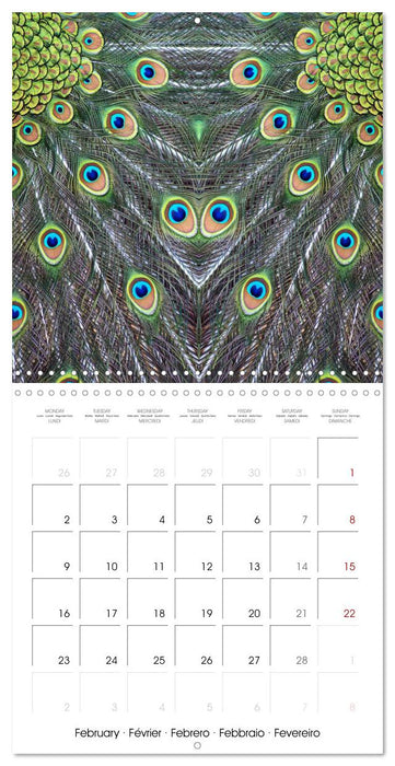 World of colors and structures (CALVENDO Monthly Calendar 2026)