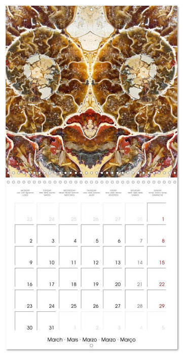 World of colors and structures (CALVENDO Monthly Calendar 2026)