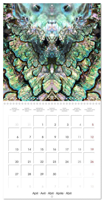 World of colors and structures (CALVENDO Monthly Calendar 2026)