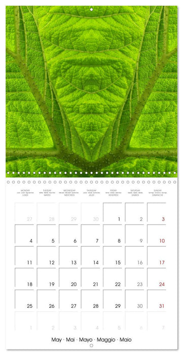 World of colors and structures (CALVENDO Monthly Calendar 2026)