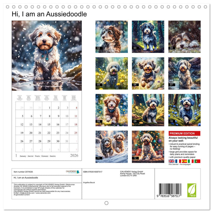 Hi, I am an Aussiedoodle (CALVENDO Monthly Calendar 2026)