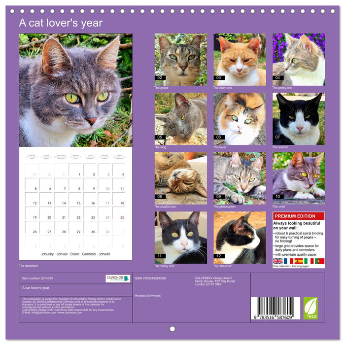 A cat lover's year (CALVENDO Monthly Calendar 2026)