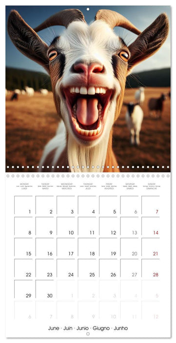 Joie animale - Une année de sourires et d'énergie positive (CALVENDO Calendrier mensuel 2026)