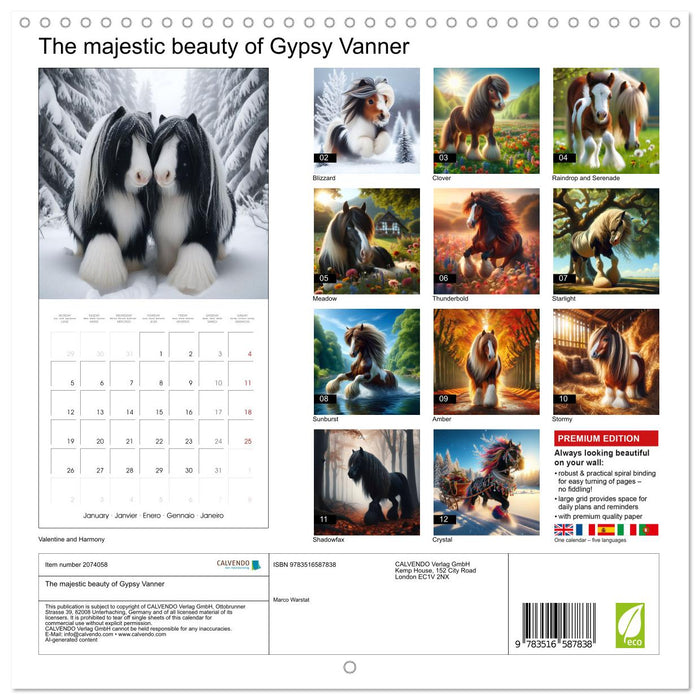 The majestic beauty of Gypsy Vanner (CALVENDO Monthly Calendar 2026)