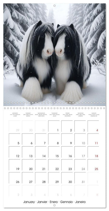 The majestic beauty of Gypsy Vanner (CALVENDO Monthly Calendar 2026)