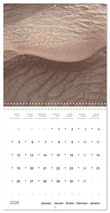 Un an dans le désert (CALVENDO Calendrier mensuel 2026)