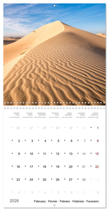 Un an dans le désert (CALVENDO Calendrier mensuel 2026)