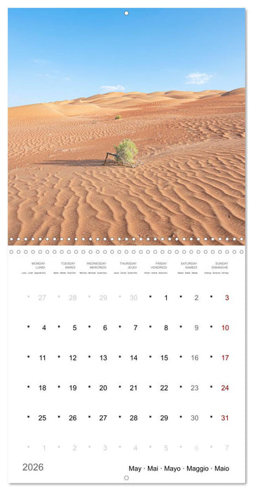 Un an dans le désert (CALVENDO Calendrier mensuel 2026)