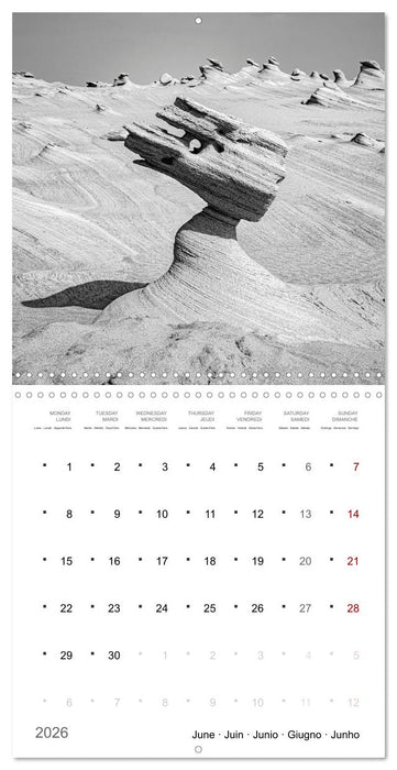 Un an dans le désert (CALVENDO Calendrier mensuel 2026)