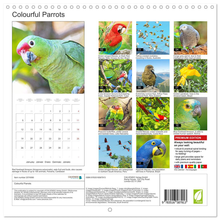 Colourful Parrots (CALVENDO Monthly Calendar 2026)
