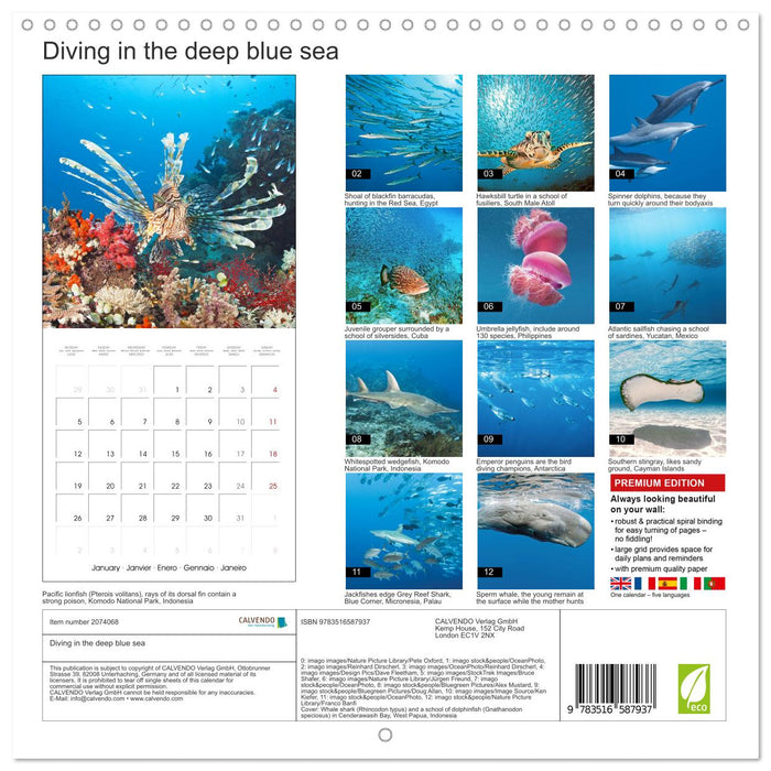 Diving in the deep blue sea (CALVENDO Monthly Calendar 2026)
