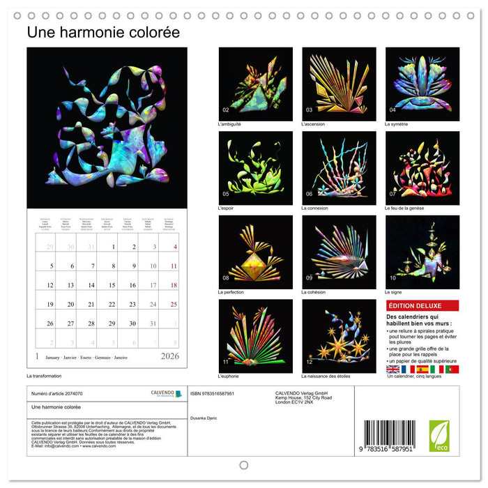 Une harmonie colorée (CALVENDO Calendrier mensuel 2026)