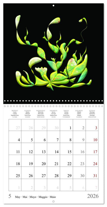 Une harmonie colorée (CALVENDO Calendrier mensuel 2026)