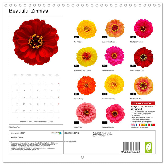 Beautiful Zinnias (CALVENDO Monthly Calendar 2026)