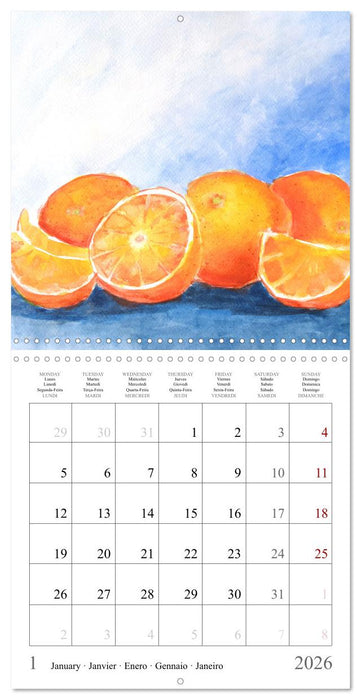 Oasis of calm - Finding silence in painted still life (CALVENDO Monthly Calendar 2026)