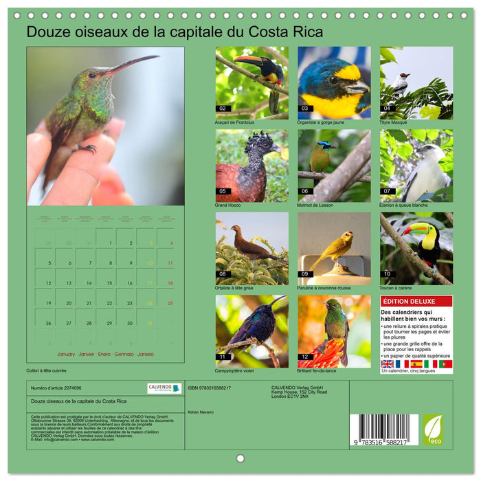 Douze oiseaux de la capitale du Costa Rica (CALVENDO Calendrier mensuel 2026)
