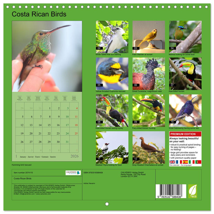 Costa Rican Birds (CALVENDO Monthly Calendar 2026)