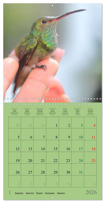 Costa Rican Birds (CALVENDO Monthly Calendar 2026)