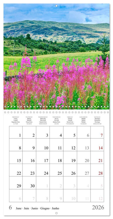 Scotland - Magical landscapes of the Highlands (CALVENDO Monthly Calendar 2026)