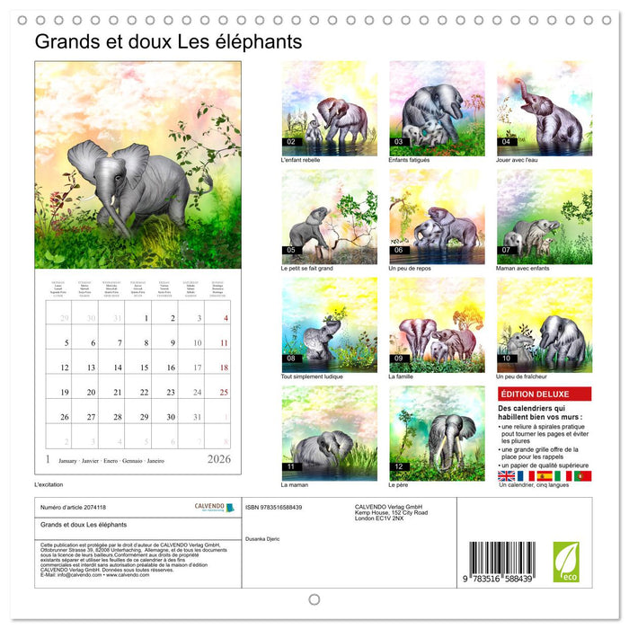 Grands et doux Les éléphants (CALVENDO Calendrier mensuel 2026)