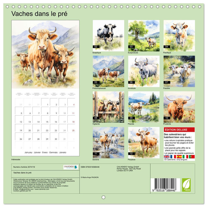 Vaches dans le pré (CALVENDO Calendrier mensuel 2026)