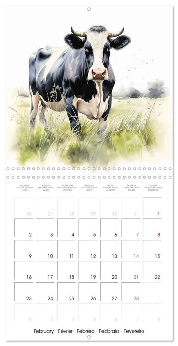 Vaches dans le pré (CALVENDO Calendrier mensuel 2026)