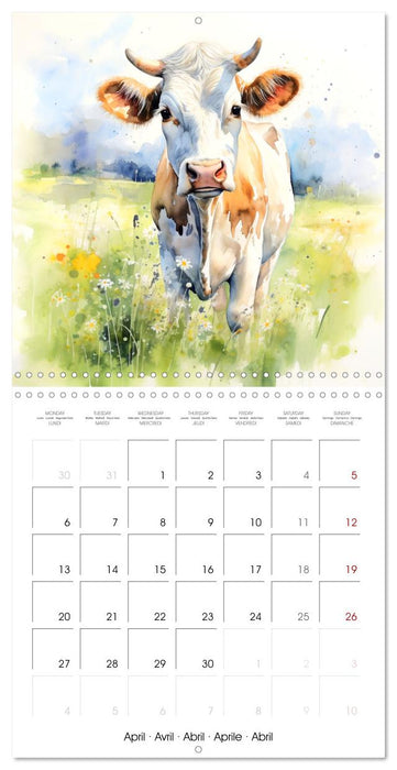Vaches dans le pré (CALVENDO Calendrier mensuel 2026)