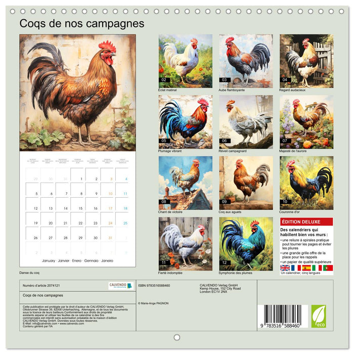Coqs de nos campagnes (CALVENDO Calendrier mensuel 2026)