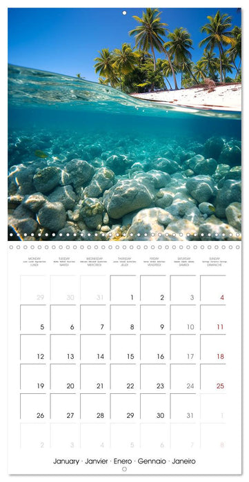 Beside tropical beaches (CALVENDO Monthly Calendar 2026)