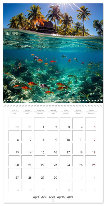 Beside tropical beaches (CALVENDO Monthly Calendar 2026)