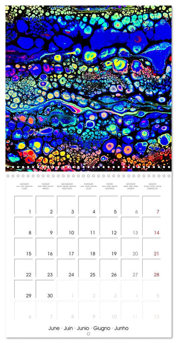 Your year full of rainbows by Katharina Stachanczyk (CALVENDO Monthly Calendar 2026)