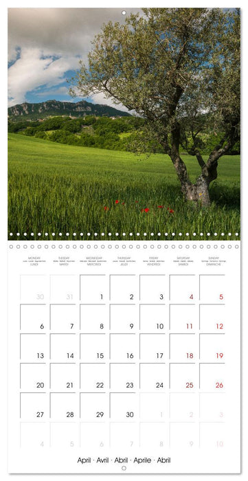 San Marino the oldest Republic in the world (CALVENDO Monthly Calendar 2026)
