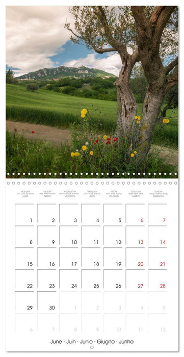 San Marino the oldest Republic in the world (CALVENDO Monthly Calendar 2026)