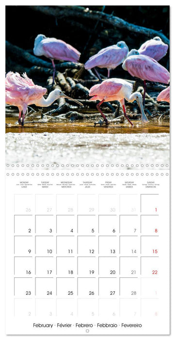 a trip to YUCATAN mexico (CALVENDO Monthly Calendar 2026)