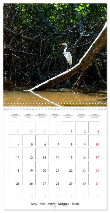 a trip to YUCATAN mexico (CALVENDO Monthly Calendar 2026)