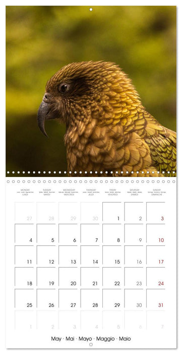 Rencontres animalières (CALVENDO Calendrier mensuel 2026)