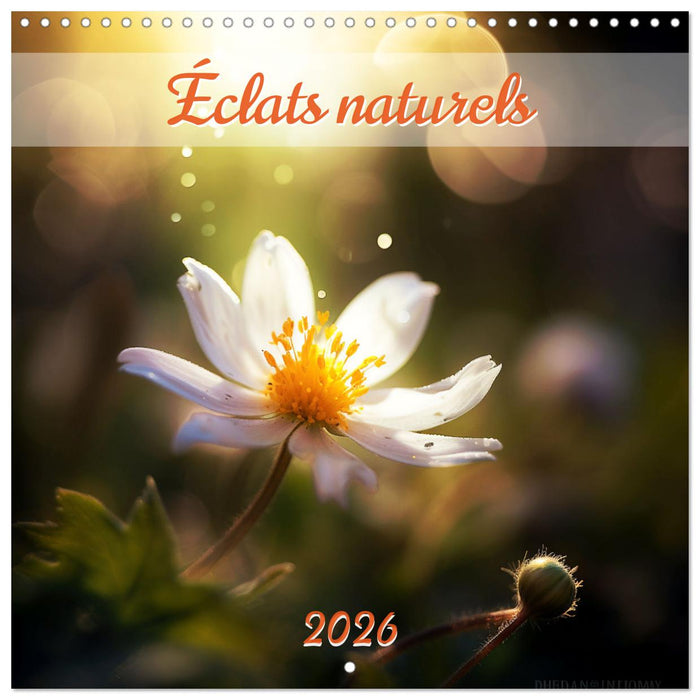Éclats naturels (CALVENDO Calendrier mensuel 2026)