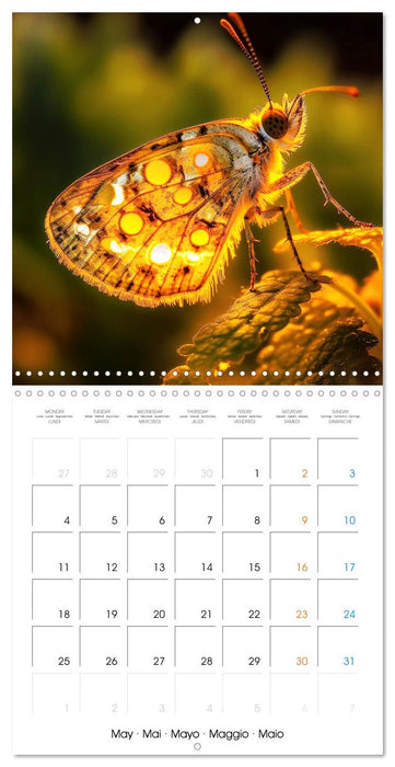 Éclats naturels (CALVENDO Calendrier mensuel 2026)