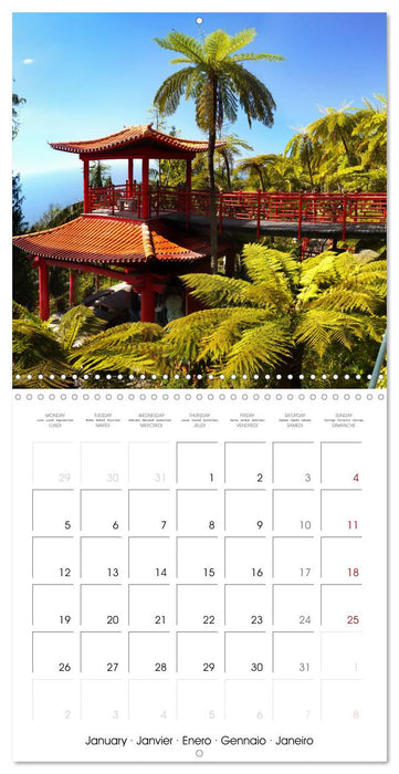 Madeira, Beauty of Nature (CALVENDO Monthly Calendar 2026)
