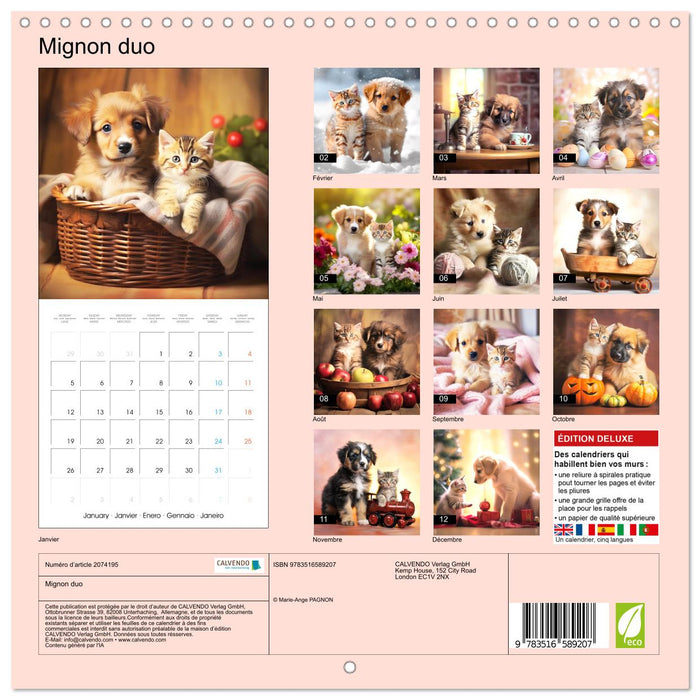 Mignon duo (CALVENDO Calendrier mensuel 2026)