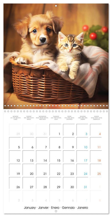 Mignon duo (CALVENDO Calendrier mensuel 2026)