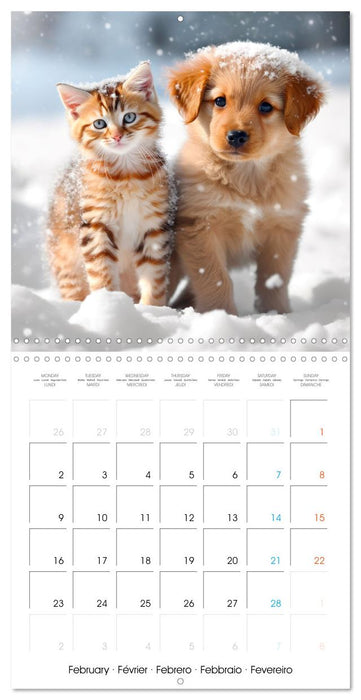 Mignon duo (CALVENDO Calendrier mensuel 2026)