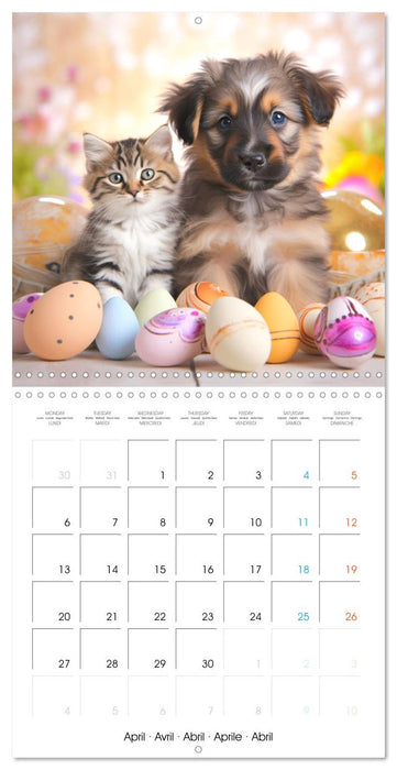 Mignon duo (CALVENDO Calendrier mensuel 2026)