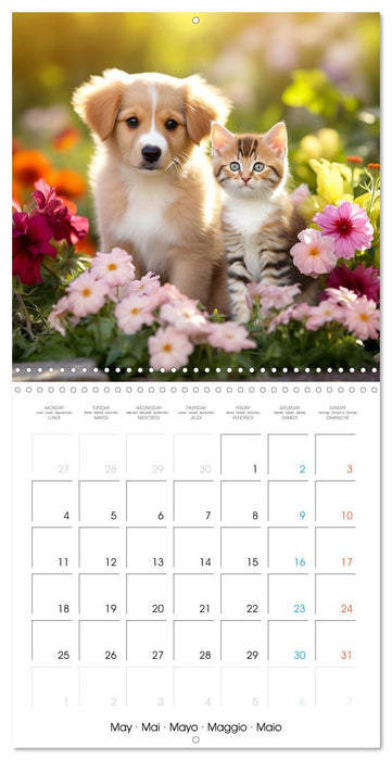 Mignon duo (CALVENDO Calendrier mensuel 2026)