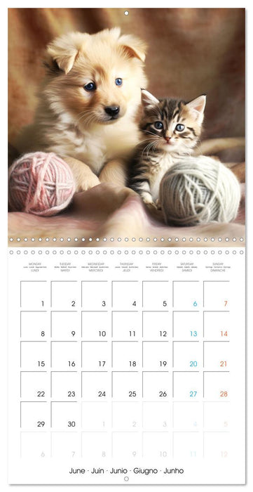 Mignon duo (CALVENDO Calendrier mensuel 2026)