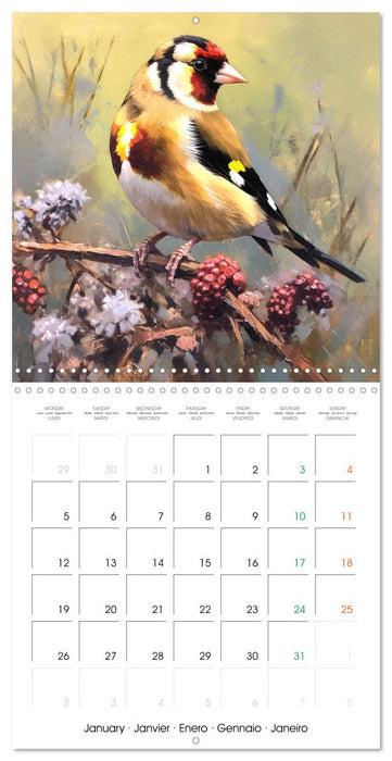 Ailes en scène (CALVENDO Calendrier mensuel 2026)