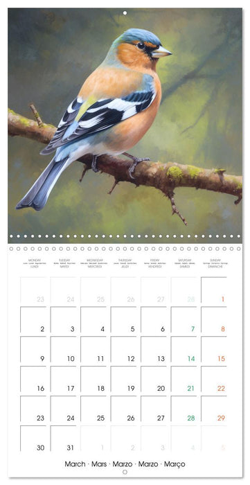 Ailes en scène (CALVENDO Calendrier mensuel 2026)