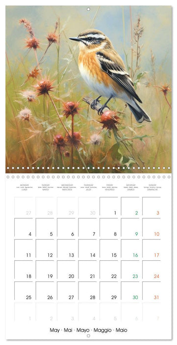 Ailes en scène (CALVENDO Calendrier mensuel 2026)