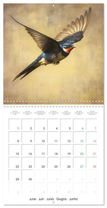 Ailes en scène (CALVENDO Calendrier mensuel 2026)